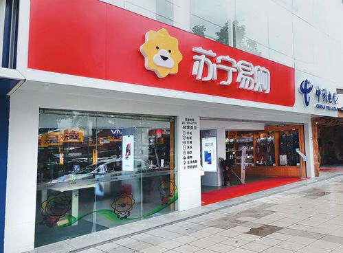 中文域名 蘇寧易購(gòu).購(gòu)物視角下的品牌價(jià)值與競(jìng)爭(zhēng)優(yōu)勢(shì)